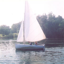 sailing_wagtail